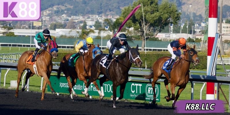 Chọn đúng vị trí cán đính của con muốn cược