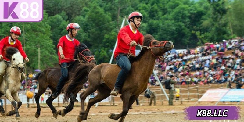 Đua ngựa K88 mang đến những lựa chọn cược sôi động
